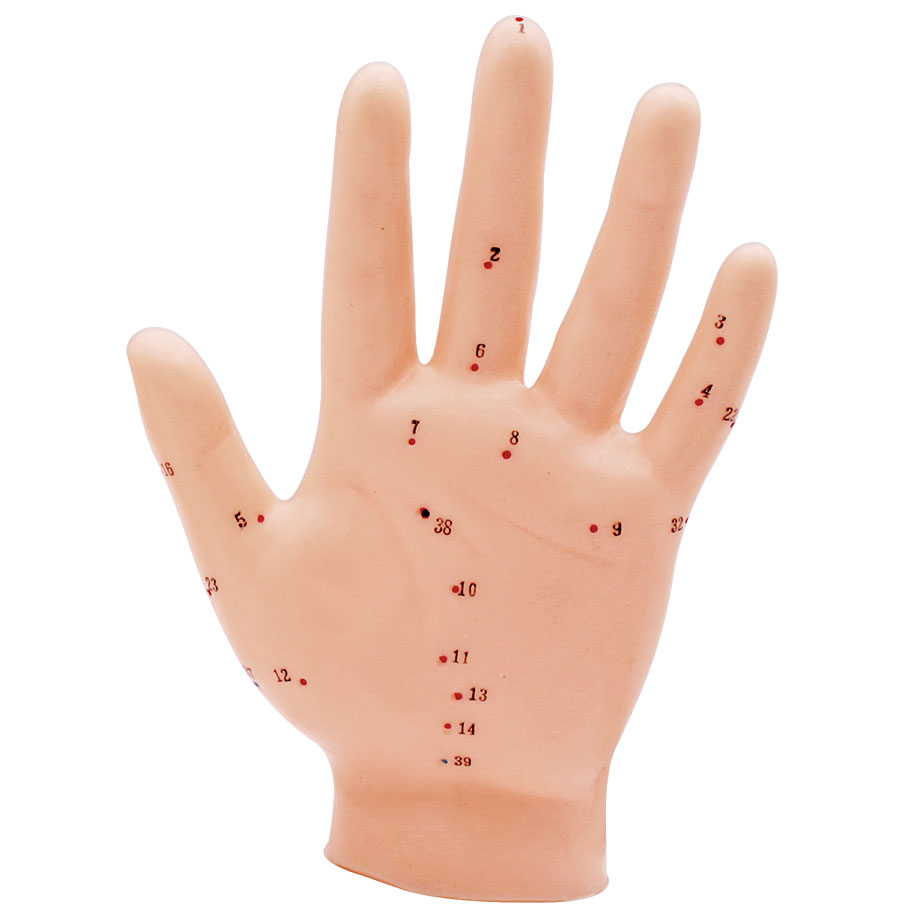 akupunkturmodell-hand-anwendung