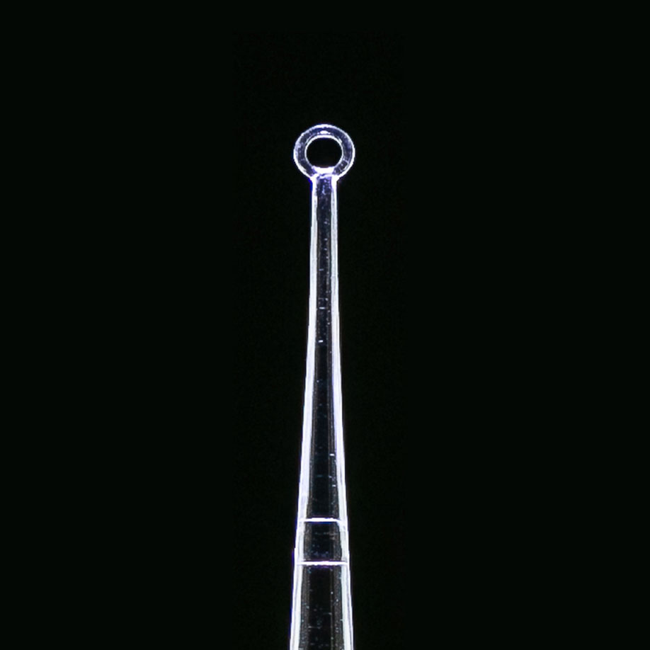 clearlook-led-ohrkueretten-angleloop-4-mm-durchmesser-gebogen-50-stck.-anwendung
