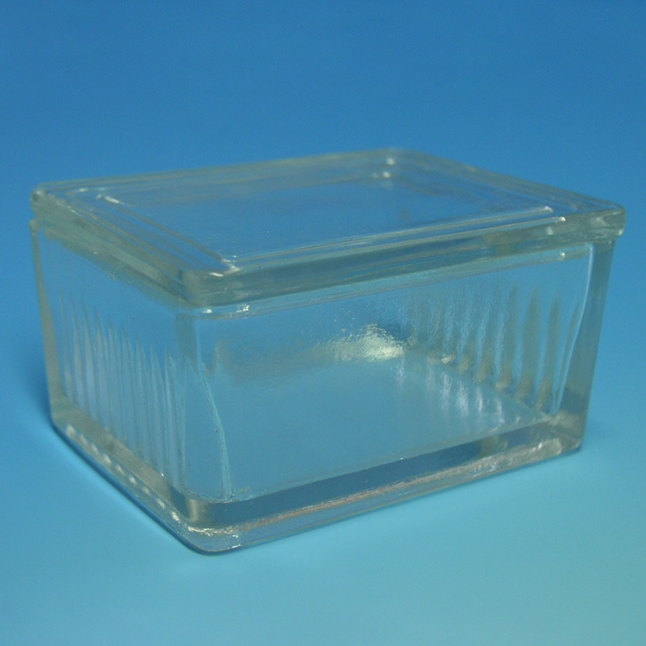 [U15211] Objektträgerkasten aus Glas, mit Deckel nach Schiefferdecker