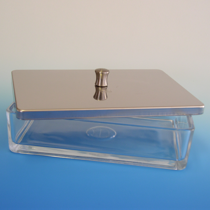 Glasschale mit Edelstahldeckel 20 x 10 x 5 cm