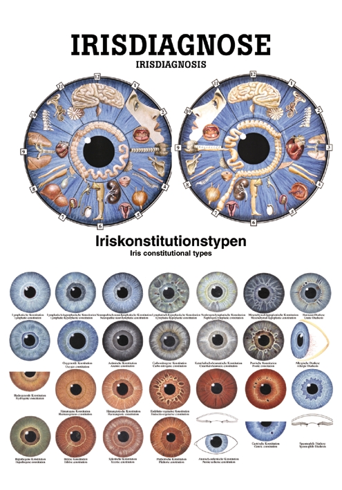 [U21464] anat. Poster: Irisdiagnose 50 x 70 cm, laminiert, zweisprachig