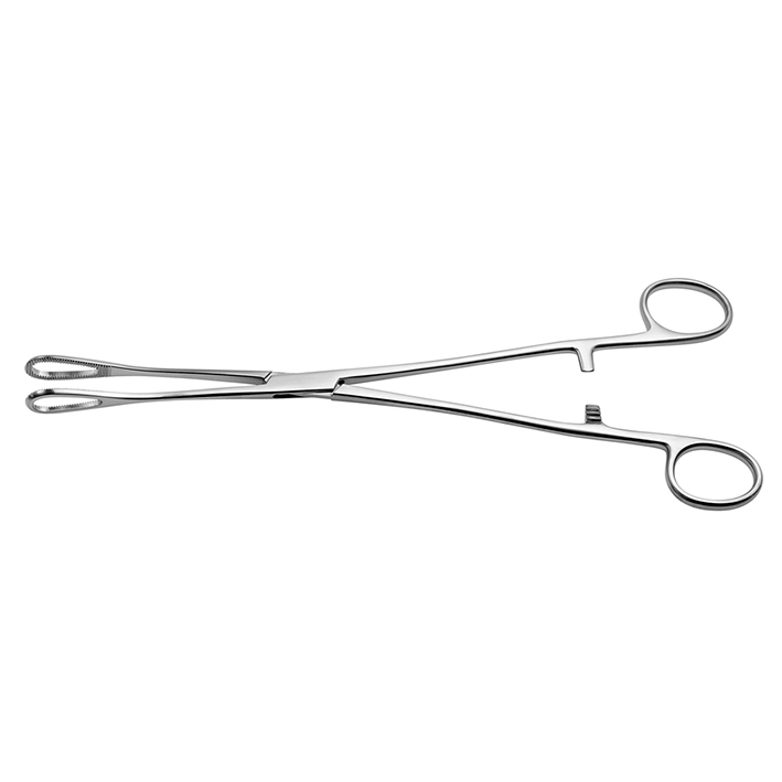 [U23631] Rampley Schwammzange, gerade, 25 cm