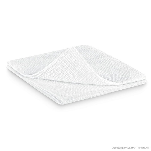 ES-Kompressen steril 12-fach 10 x 10 cm (25 x 2 Stck.)