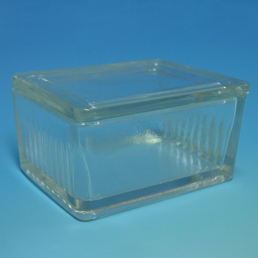 Objektträgerkasten aus Glas, mit Deckel nach Schiefferdecker