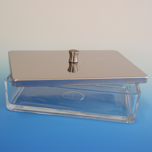Glasschale mit Edelstahldeckel 20 x 10 x 5 cm