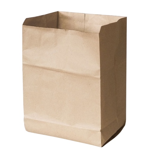 Papierbeutel ca. 10 Ltr., 200 x 160 x 360 mm, ohne Aufdruck – 10 Stück
