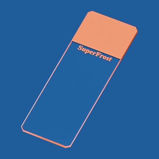 Objektträger SuperFrost orange geschliffen 45° (50 Stck.)
