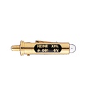 XHL Xenon Halogen Lampe 6 V