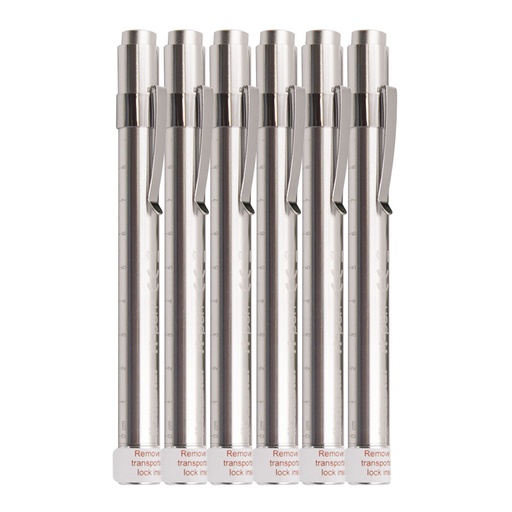 ri-pen Diagnostikleuchten, silber, LED 3 V (6 Stck.) inkl. 2 Batterien Typ AAA